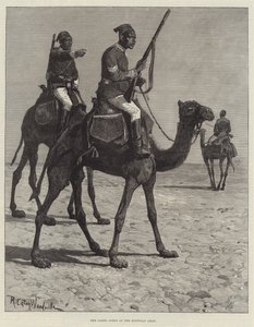 Kamelkorpset til den egyptiske hæren